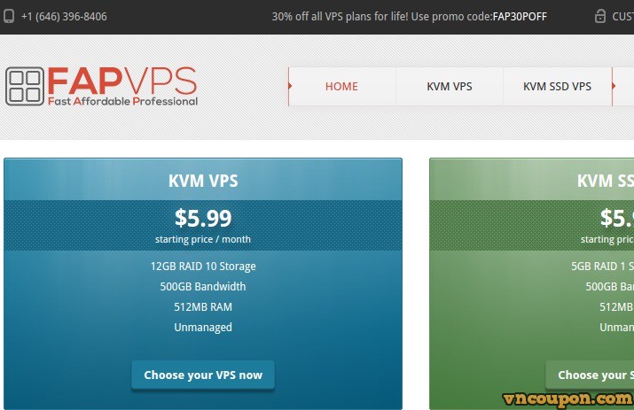 FAPVPS – Special KVM VPS Plan 256MB + 256MB of RAM only $18