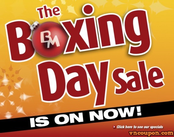 Hawkhost Promotion – Boxing Day is Back! – Up to 70% Off !