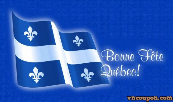 [Quebec National Day] DeepNet Solutions – 50% OFF recurring with all OpenVZ & KVM VPS