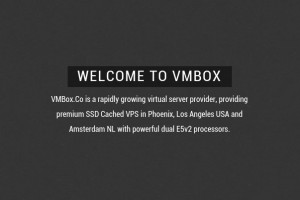 VMBox.Co – 3GB RAM – 100GB SSD Cached – 3TB BW – 2 IPv4 – DDoS Protected – Free Wildcard SSL – $7/month or $48/year