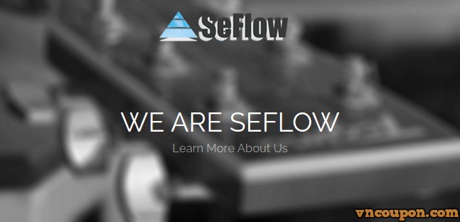 SeFlow – Intel Skylake Server from €29/month – Free DDos Protection & No setup fee