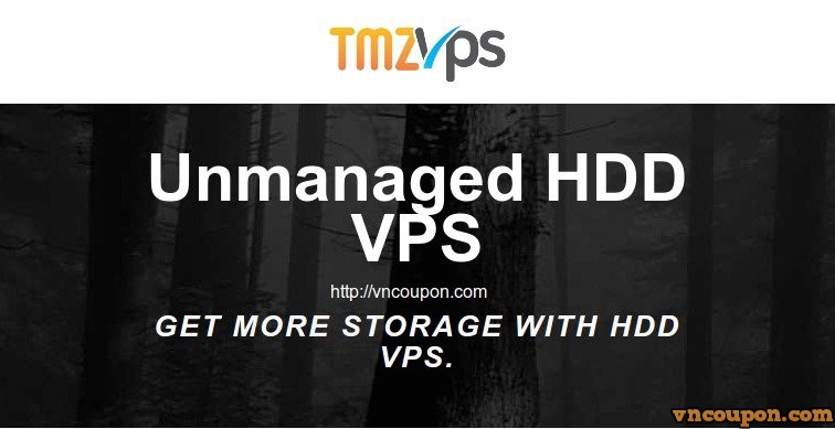 tmzVPS – Unmanaged VPS with 2GB RAM/ 50GB HDD/ 2TB Bandwidth only $6.8/month annually pay