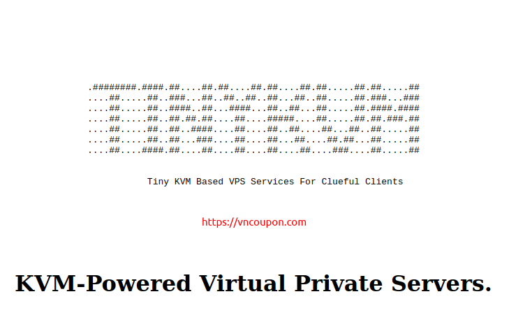 TinyKVM – Special KVM VPS only $15/year in Dallas & Los Angeles