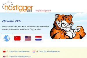 Hostigger – VMWare VPS Limited Offers! 2 CPU, 6GB RAM, 50GB SSD – $59,99/year