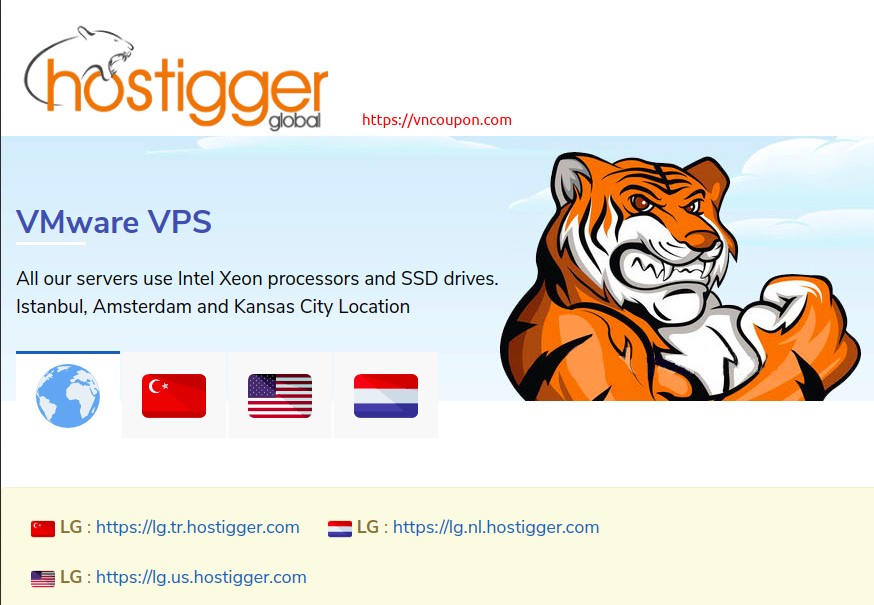 Hostigger – VMWare VPS Limited Offers! 2 CPU, 6GB RAM, 50GB SSD – $59,99/year