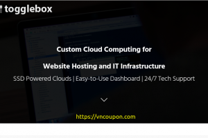 ToggleBox – Free $50 Credit on Hourly Cloud VPS