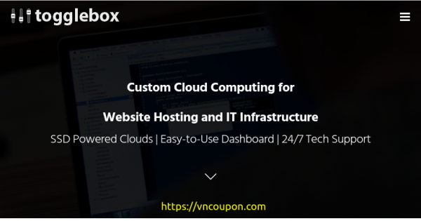 ToggleBox - Free $50 Credit on Hourly Cloud VPS