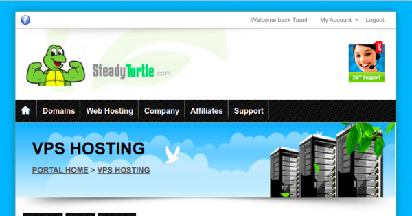 SteadyTurtle - DDoS Protected KVM VPS from $7/month