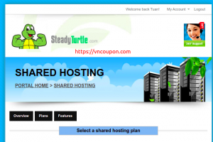 50% Off Shared Hosting at SteadyTurtle – 10 Years In Business