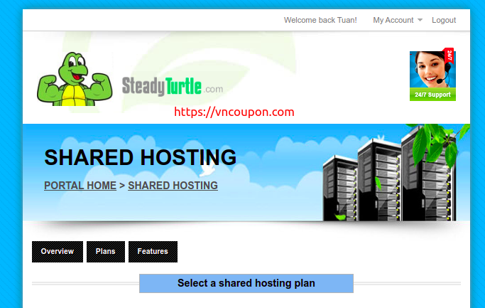 50% Off Shared Hosting at SteadyTurtle – 10 Years In Business