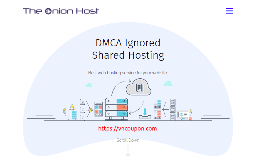 TheOnionHost – 20% Off DMCA Ignored Shared Hosting
