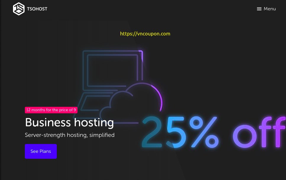 TsoHost – 25% Off 1 st year on Business Hosting