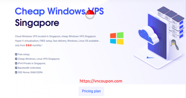 VPSServerUSA - Cheap Singapore Windows VPS Offers from $8/month - Bandwidth Unlimited | SSD Storage