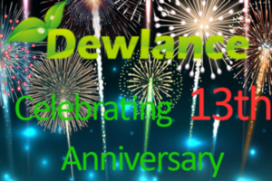 Dewlance 13 Anniversary Promotion – Cheap Linux VPS from $3.49/Month