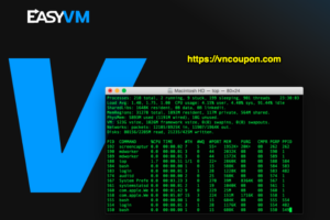 EasyVM – 4th Birthday Special Plans – Up to 44% Off VPS Hosting