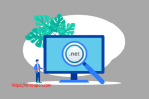 .NET Domain Promo Price & Coupons on March 2024