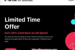 TikTok Ads – 30% Off Cash Back on Ad Spend