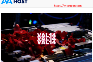 [Valentine’s Day 2025] AVAHost – 14% OFF on all services