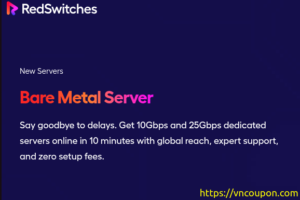 RedSwitches – Amsterdam 10Gbps Dedicated Servers Deal from $189/month