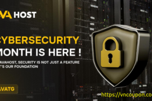 AVAHost Cybersecurity Month Special – 10% One Time Discount
