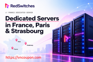 RedSwitches Paris Dedicated Server from $85/mo | 10Gbps